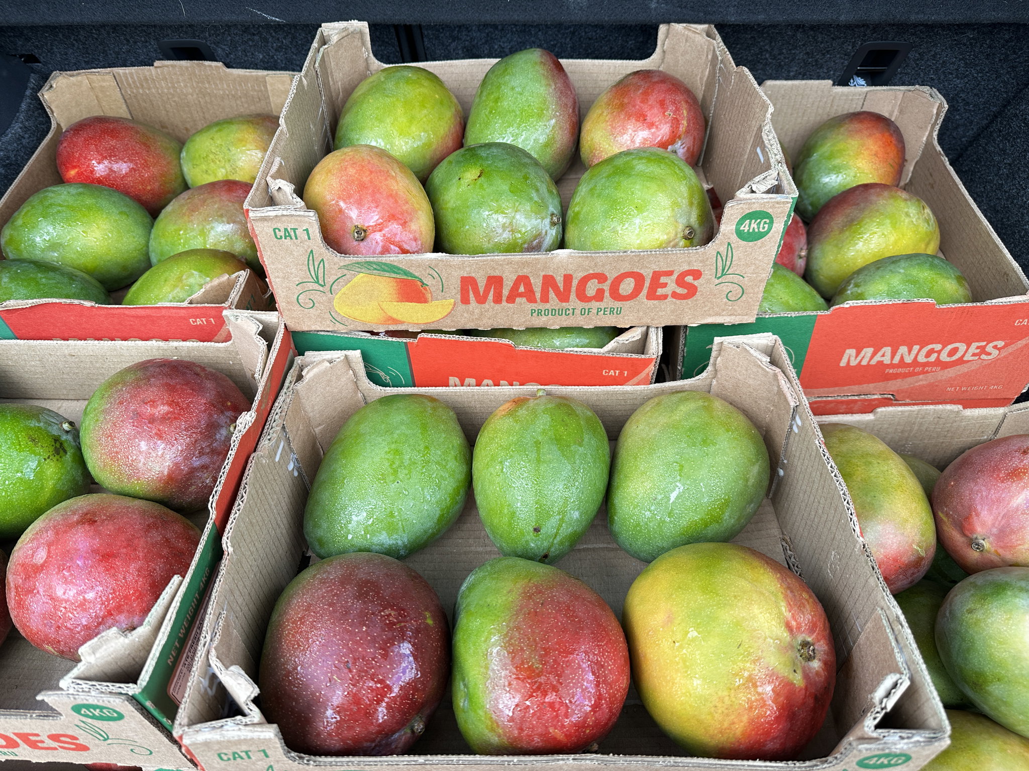 Mangos Importados (3 pack)_1