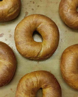 Bagels