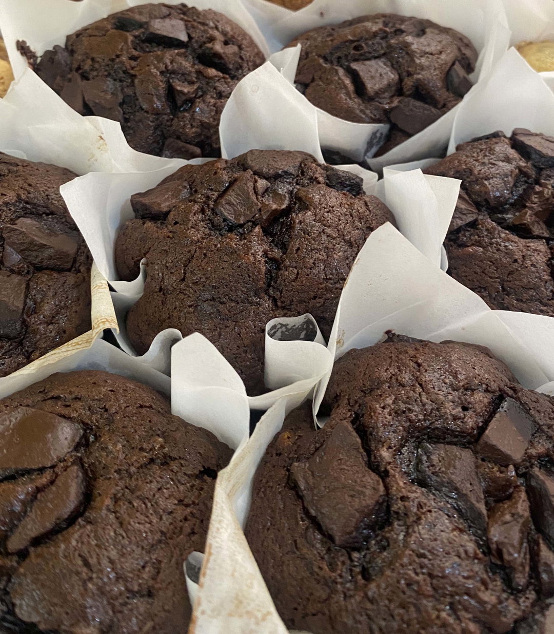 Double Chocolate Muffin