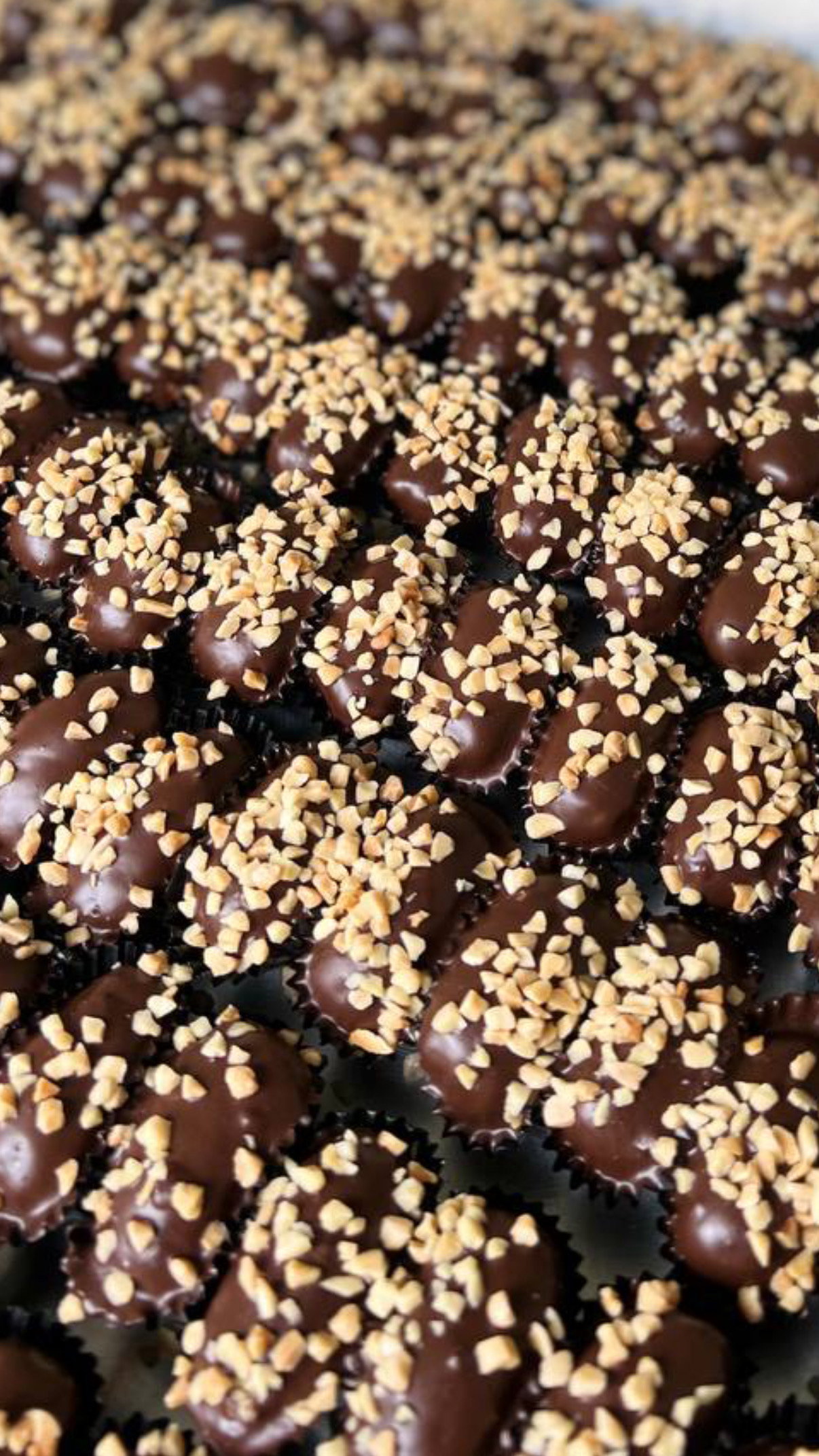 Almond London_0