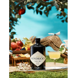 Hendrick's Gin 700ml No box