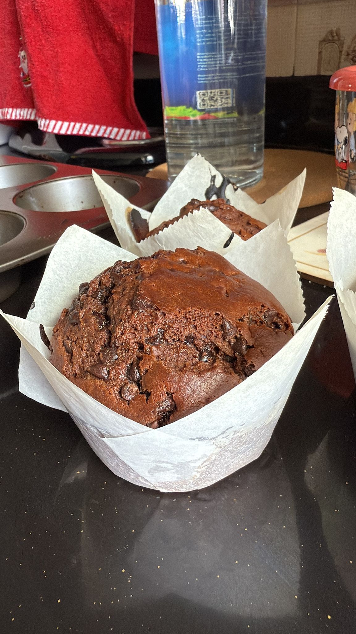Chocolate Muffins _0