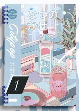 Popcity Notebooks