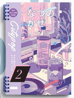 Popcity Notebooks