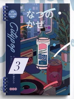 Popcity Notebooks