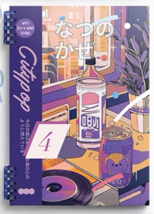 Popcity Notebooks_5