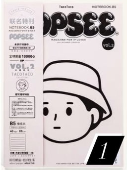 Popsee notebooks