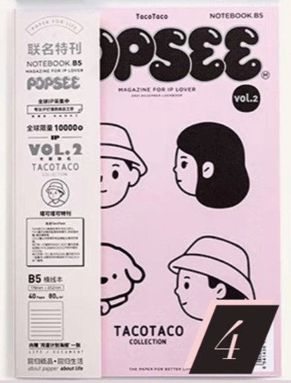 Popsee notebooks_6