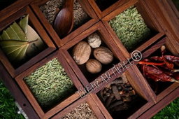 WOOD SPICE BOX 