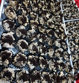 Cookies Cream Cornflakes