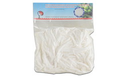 Young Coconut Buko Slices 250g ARRIVAL DEC12