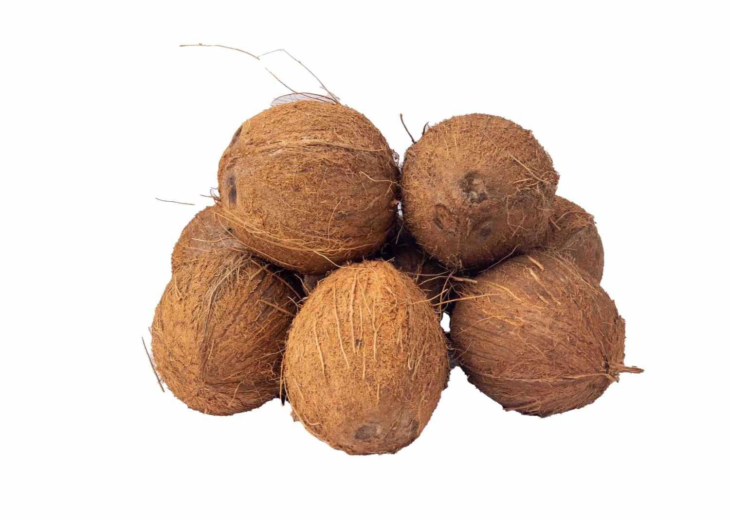 Dry Coconut _0