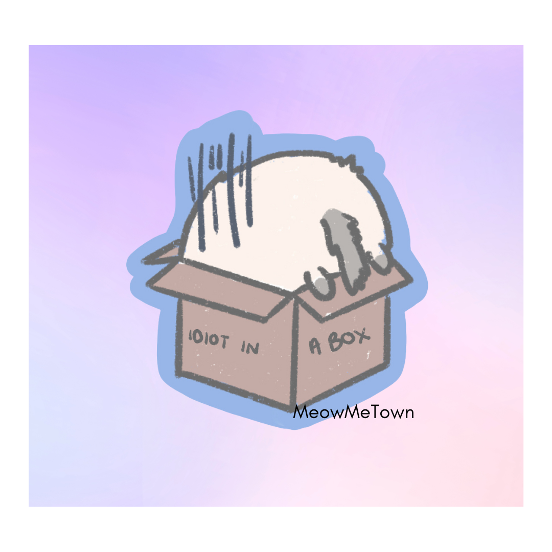 Idiot in a Box _0