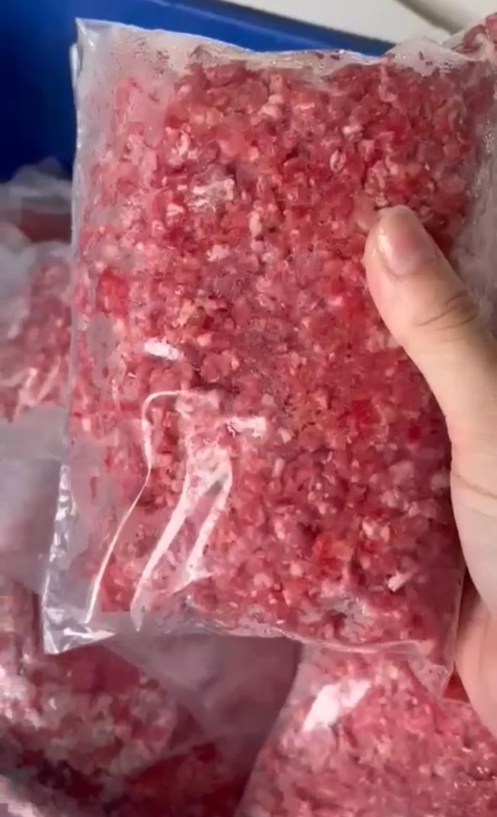 Premium AUS Minced Beef/Daging Giling (10% Lemak) 500gram_3