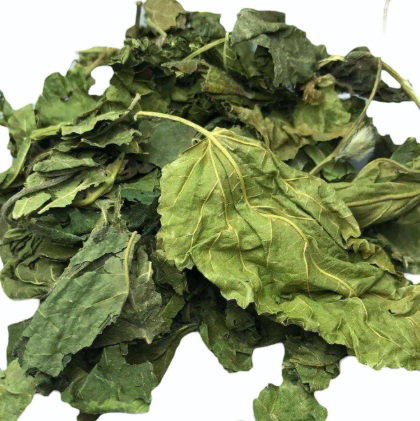 1 For 1 Special Bundle! Premium Mulberry Leaves For Rabbits & Small Animals (35g + 35g)_1