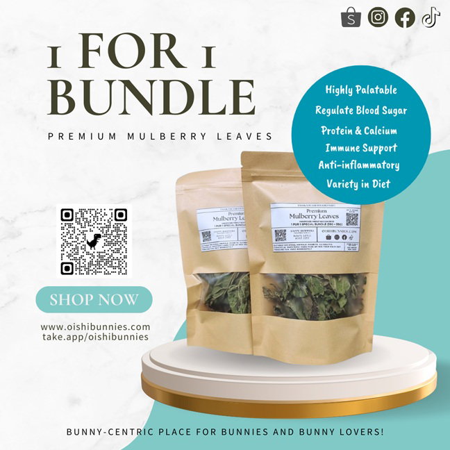 1 For 1 Special Bundle! Premium Mulberry Leaves For Rabbits & Small Animals (35g + 35g)_0
