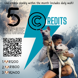 Once a week 5 Credits 