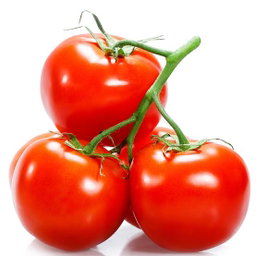 Tomato 