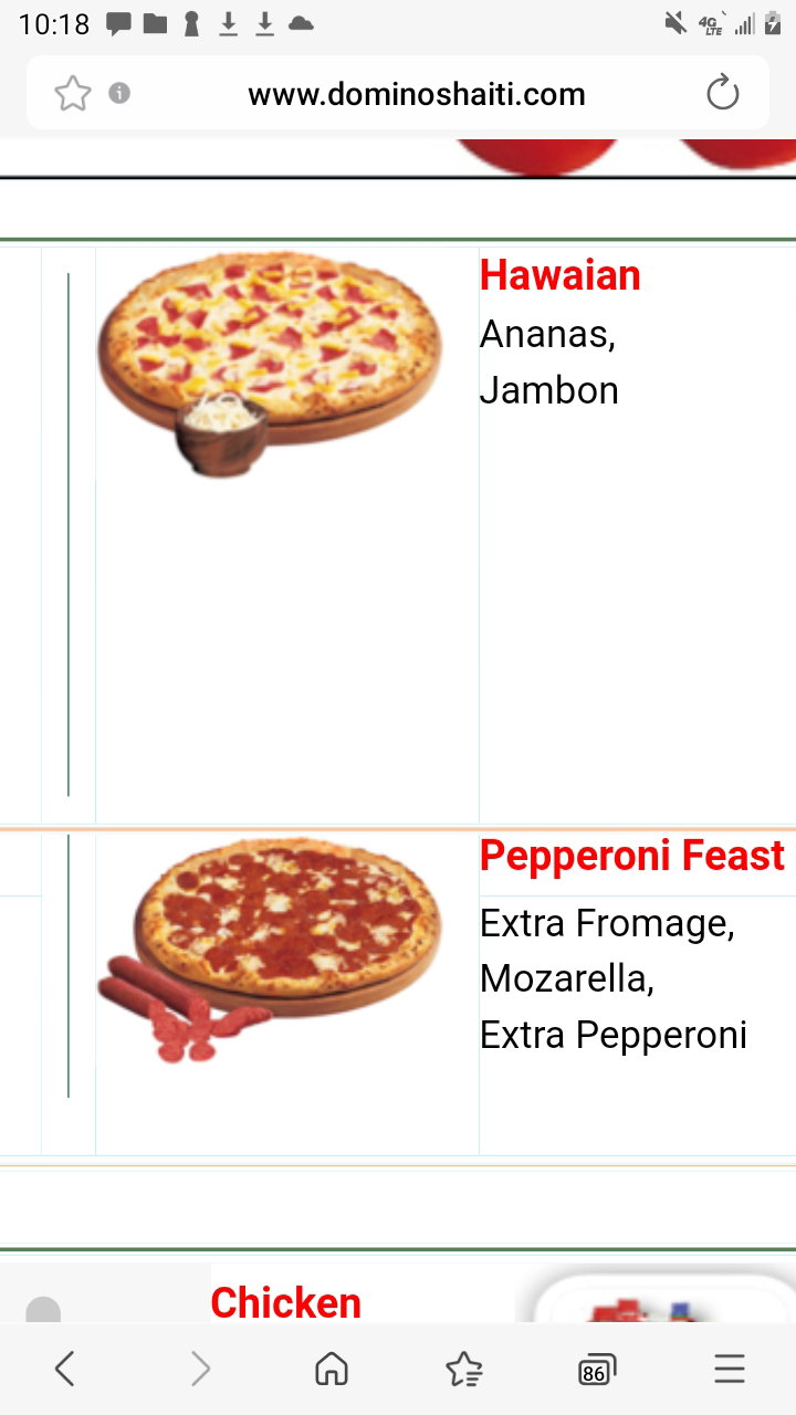 SPECIAL HOLIDAY WITH PIZZAS !!!_9