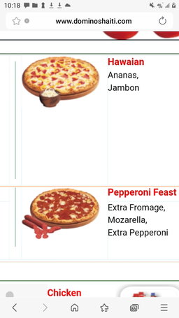 SPECIAL HOLIDAY WITH PIZZAS !!!