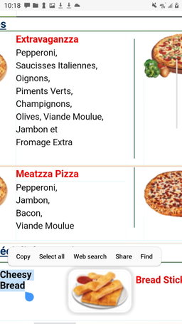 SPECIAL HOLIDAY WITH PIZZAS !!!