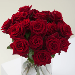 🌹Rose