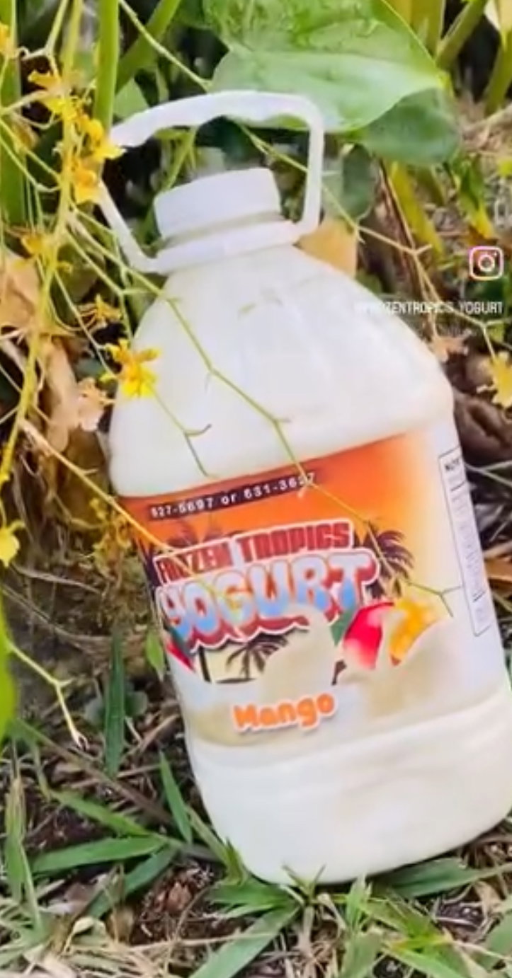 Mango gallon
