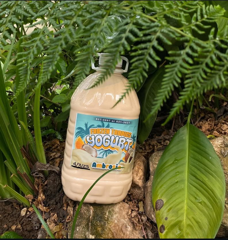 Ambrosia gallon