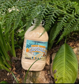Ambrosia gallon
