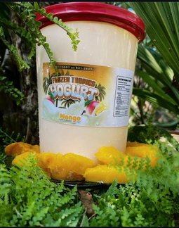 Regular yogurt 32oz