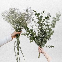 🌿Verde, Gyps e Fiori Tramite