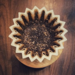 Everyday