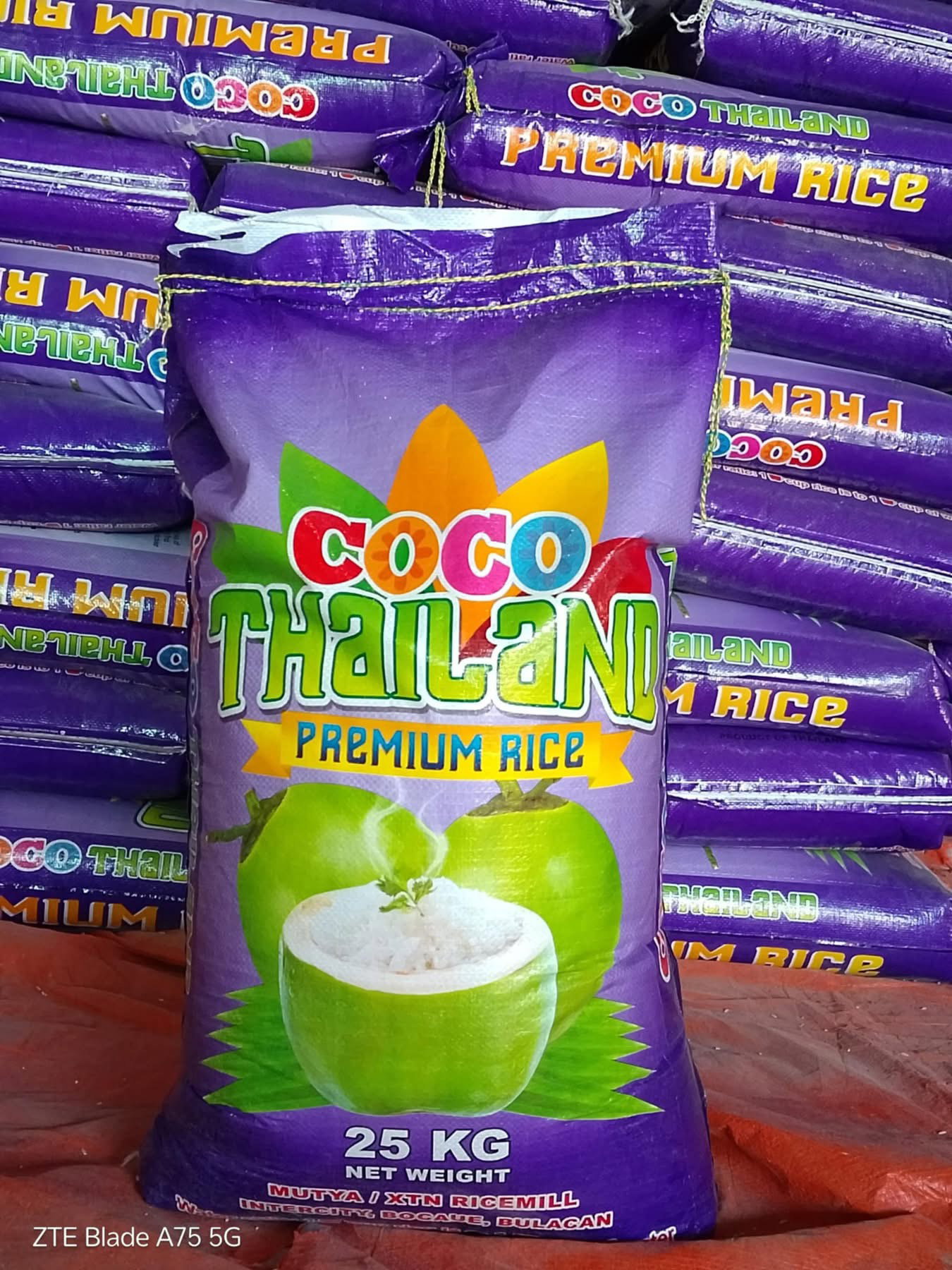 COCO THAI RICE_0