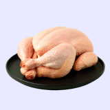 🐔 Ayam 