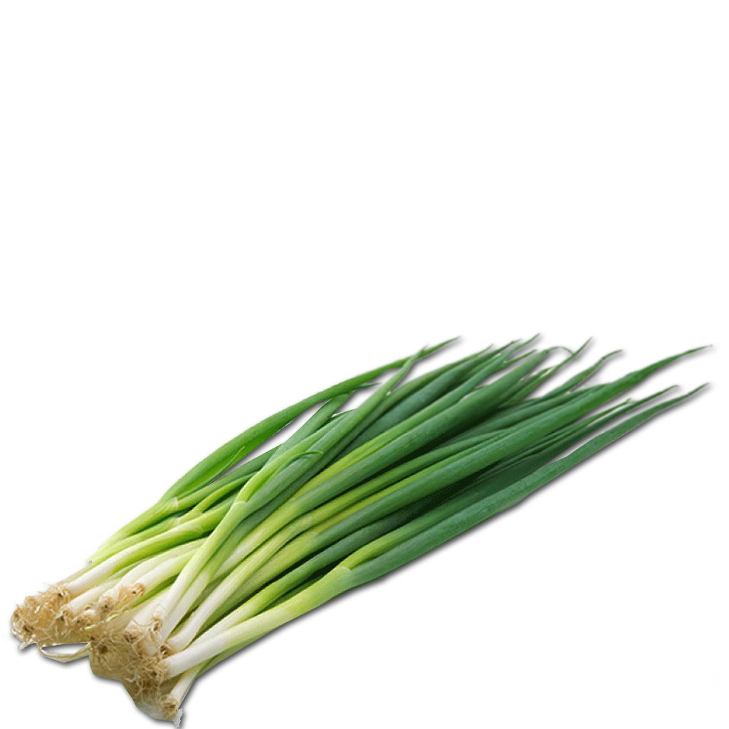 Escallion 