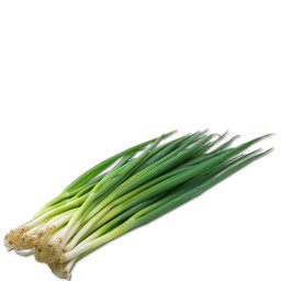 Escallion 