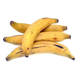 Plantain 