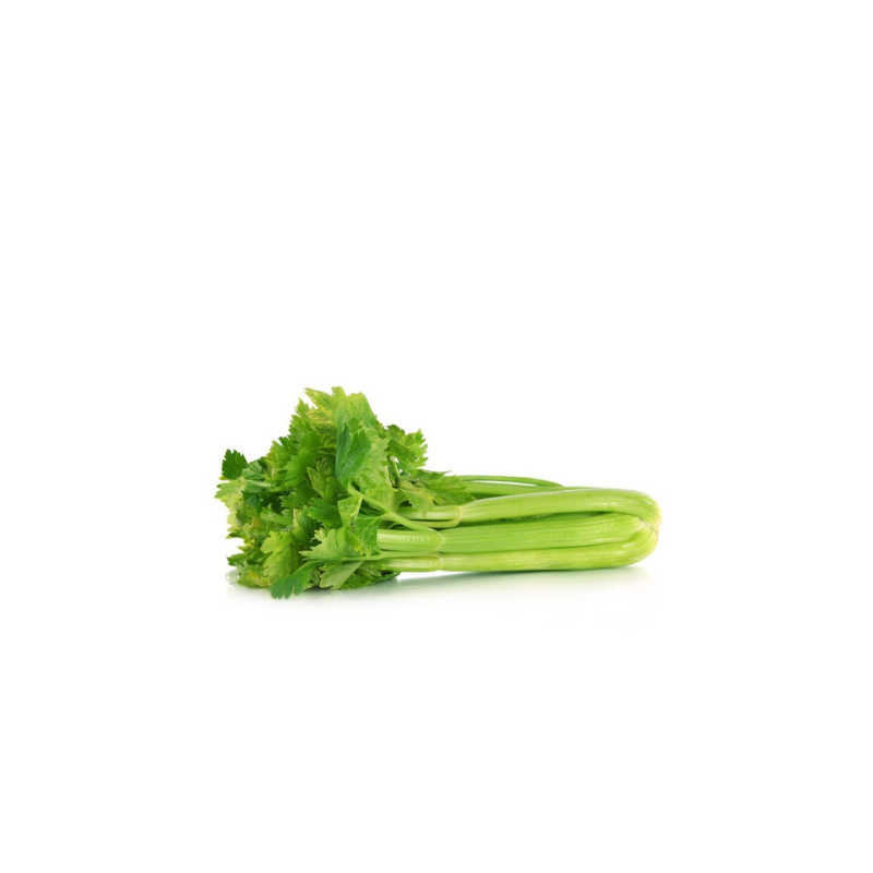 Celery Sticks Impor (Frozen) 1pc_0