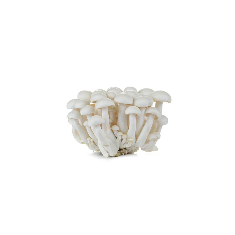 Jamur Shimeji Putih 150gram _0