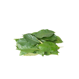 Daun Salam 30gram