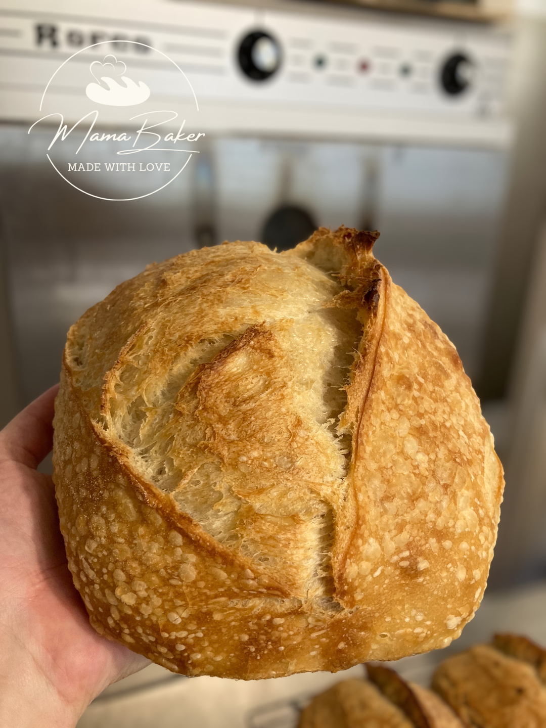 Sourdough Bread לחם מחמצת