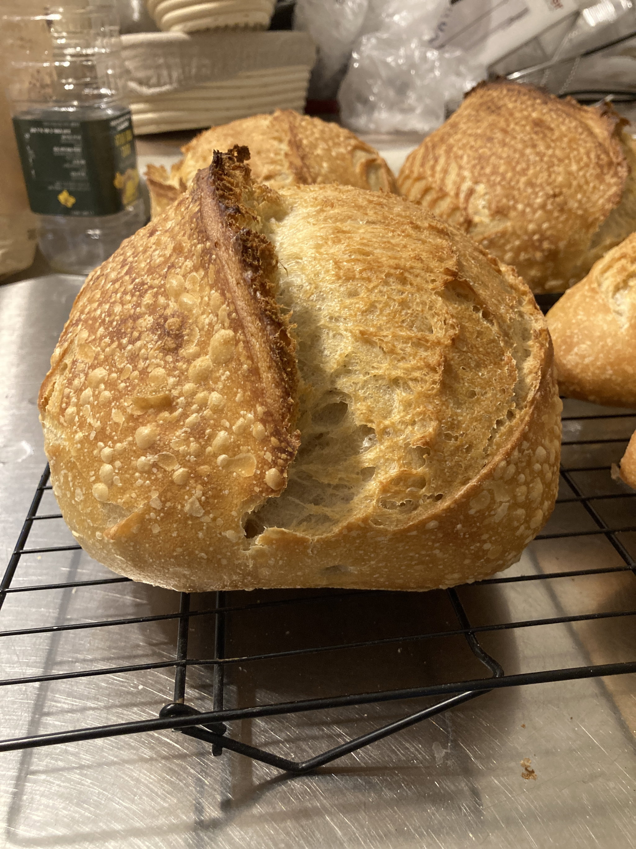 Sourdough Bread לחם מחמצת_8