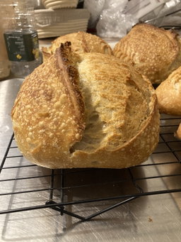 Sourdough Bread לחם מחמצת