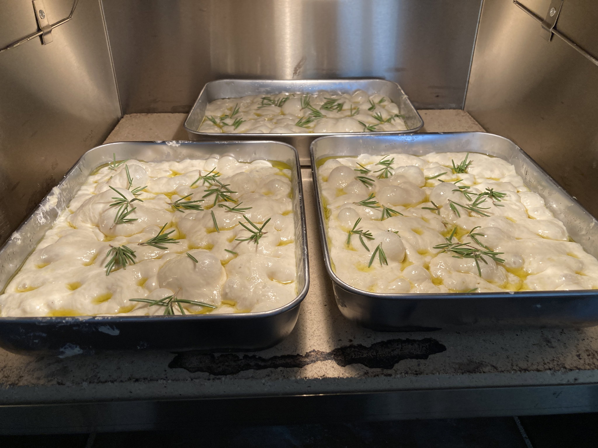 Sourdough Focaccia פוקצ׳ה מחמצת _3