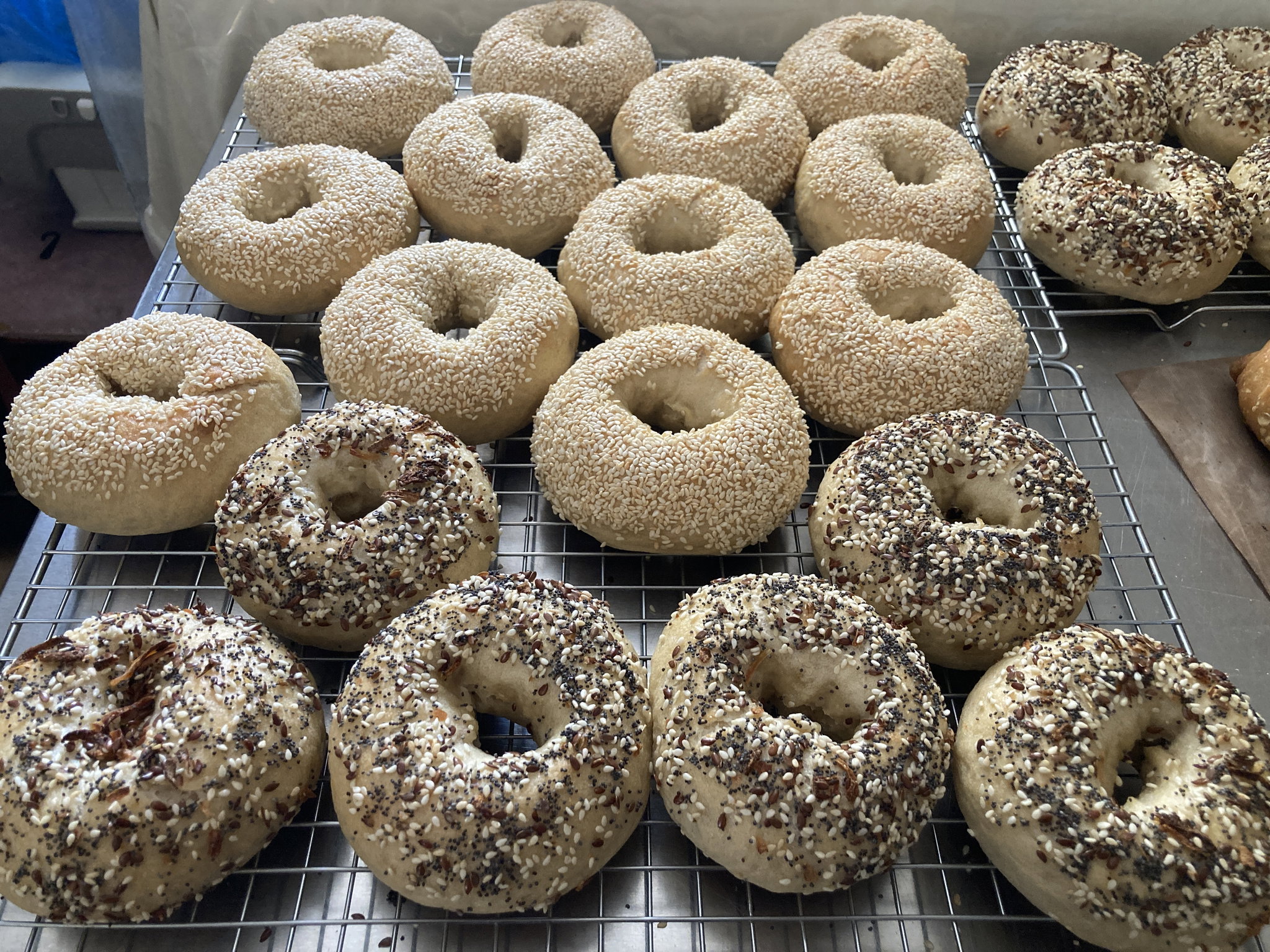 Sourdough Bagels (6 pcs) בייגל מחמצת _1