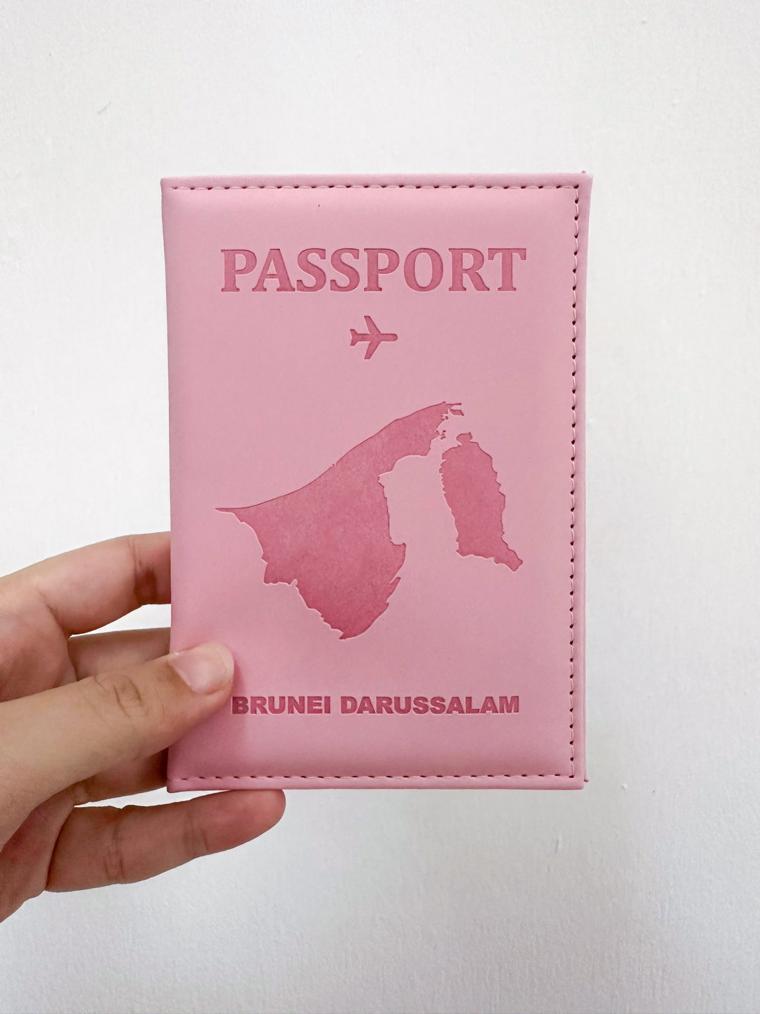 Passport Holder (Pink)