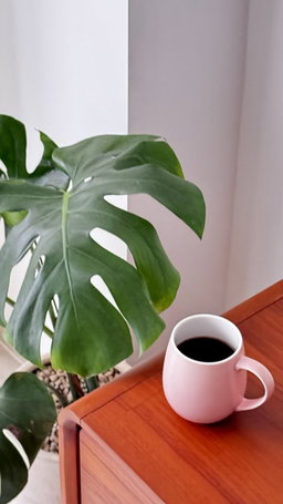 Seasonal Filter Coffee