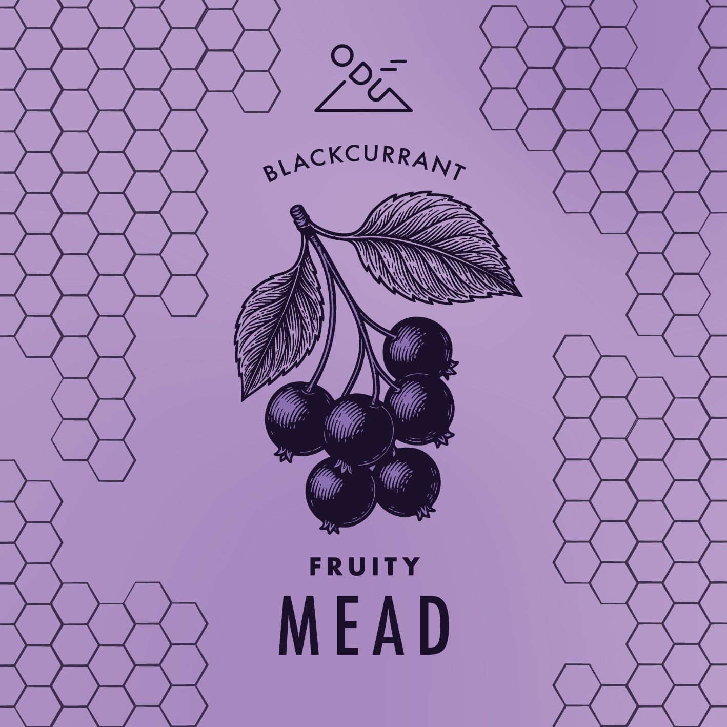 Fruity MEAD - Blackcurrant | ABV 11%_0