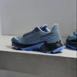 Salomon AlphaCross 5 “Bering Sea”
