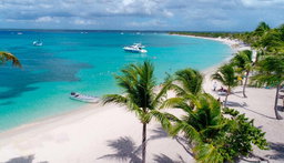 Saona Island Tour - Price per Person